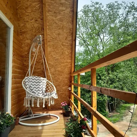 In The Energy Forest