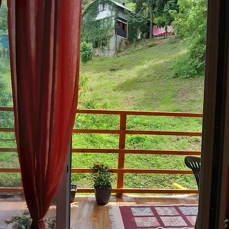 In The Energy Forest 아파트