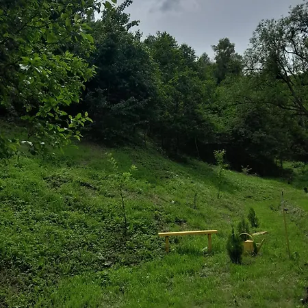In The Energy Forest 비소코