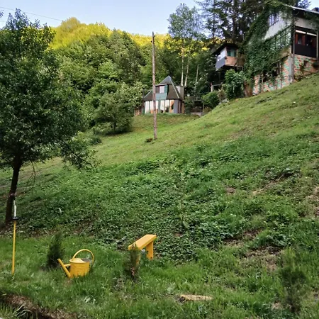 In The Energy Forest 아파트 *